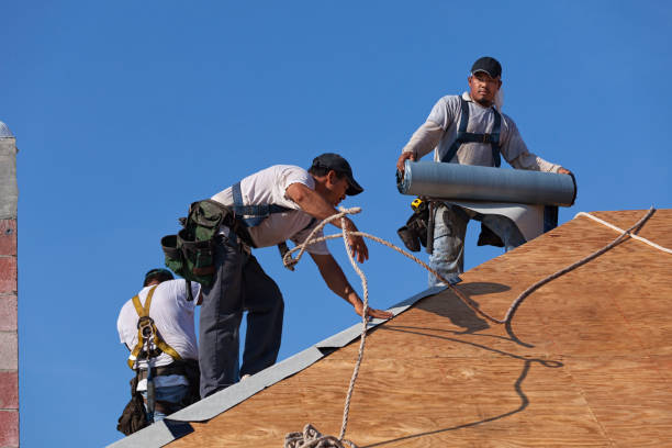 Best Roof Gutter Cleaning  in Buckhead Ridge, FL