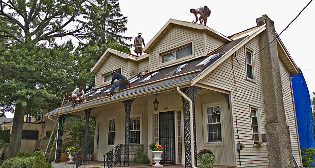 Best Roof Maintenance Services  in Buckhead Ridge, FL